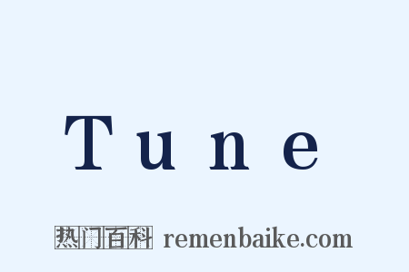 Tune是什么意思的图片